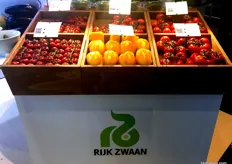 Some fresh produce and systems on display at the Rijk Zwaan stall.